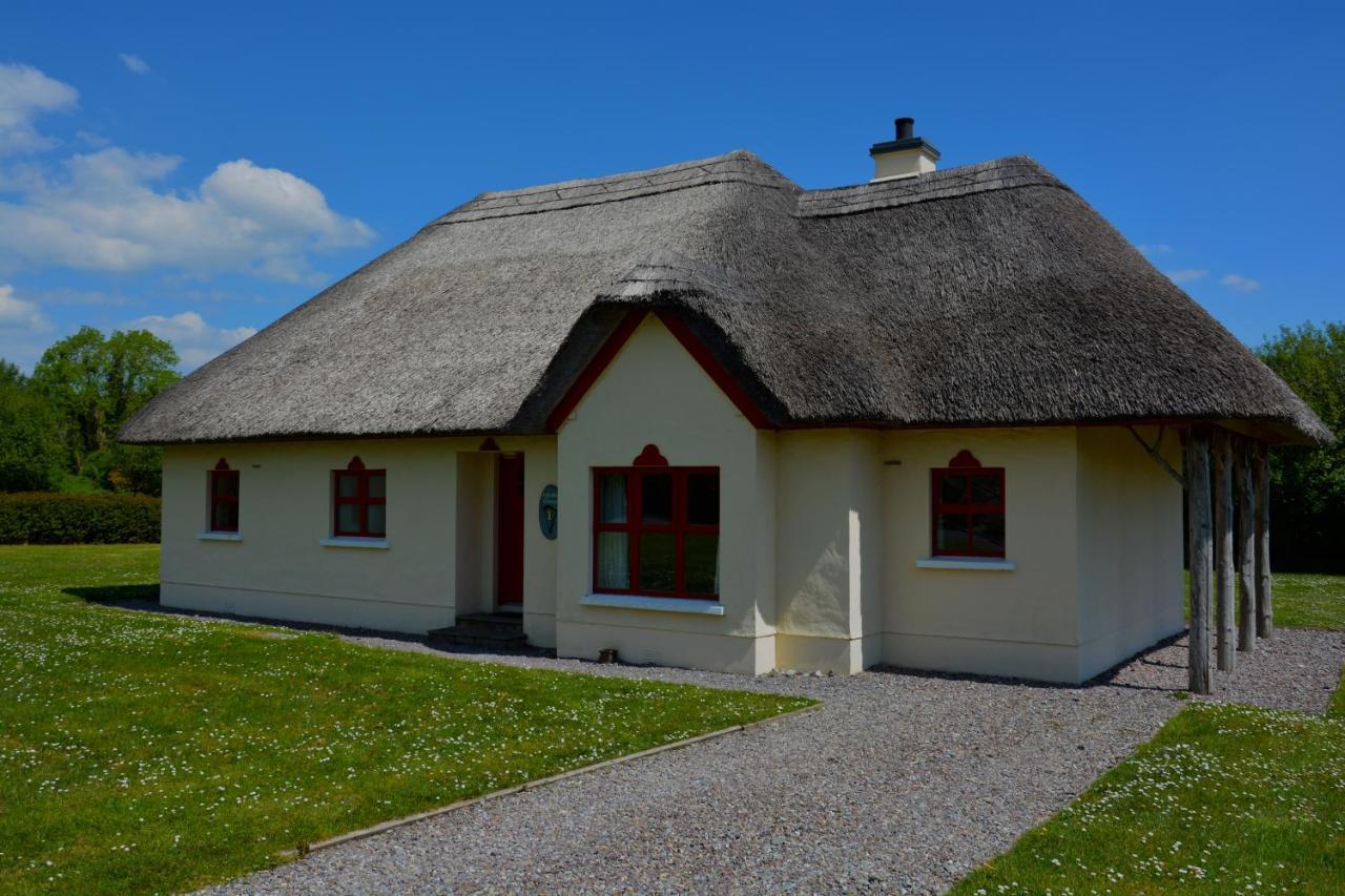 Amber Cottage كيلارني المظهر الخارجي الصورة
